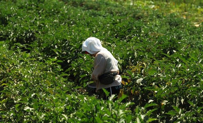 Οι προϊστορικές αγρότισσες είχαν πιο δυνατά χέρια ακόμη και από τις σημερινές πρωταθλήτριες κωπηλασίας